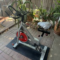 Sunny Fitness Pro II exercise bike cycling for Sale in Lakeside CA OfferUp