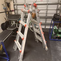 The Little Giant Ladder