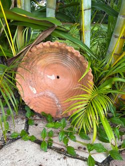 Large Terracotta Plant Saucer with Scalloped Edge