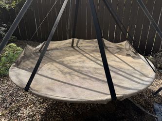Flying Saucer Swing