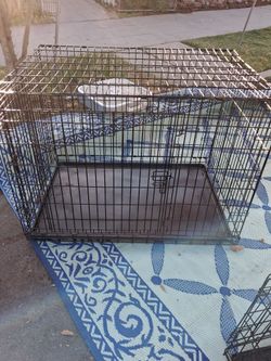 Extra large dog crate