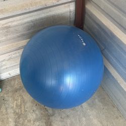 Gaiam  Exercise Ball