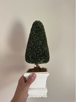Topiary decor