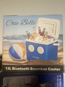 Bluetooth Speaker Cooler