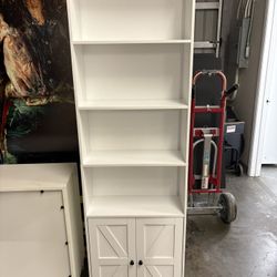 Shelving/Cabinet 
