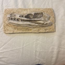 Velociraptor Skull 
