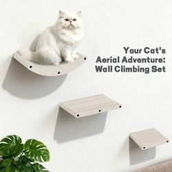 New Cat Shelves Cat Tree 