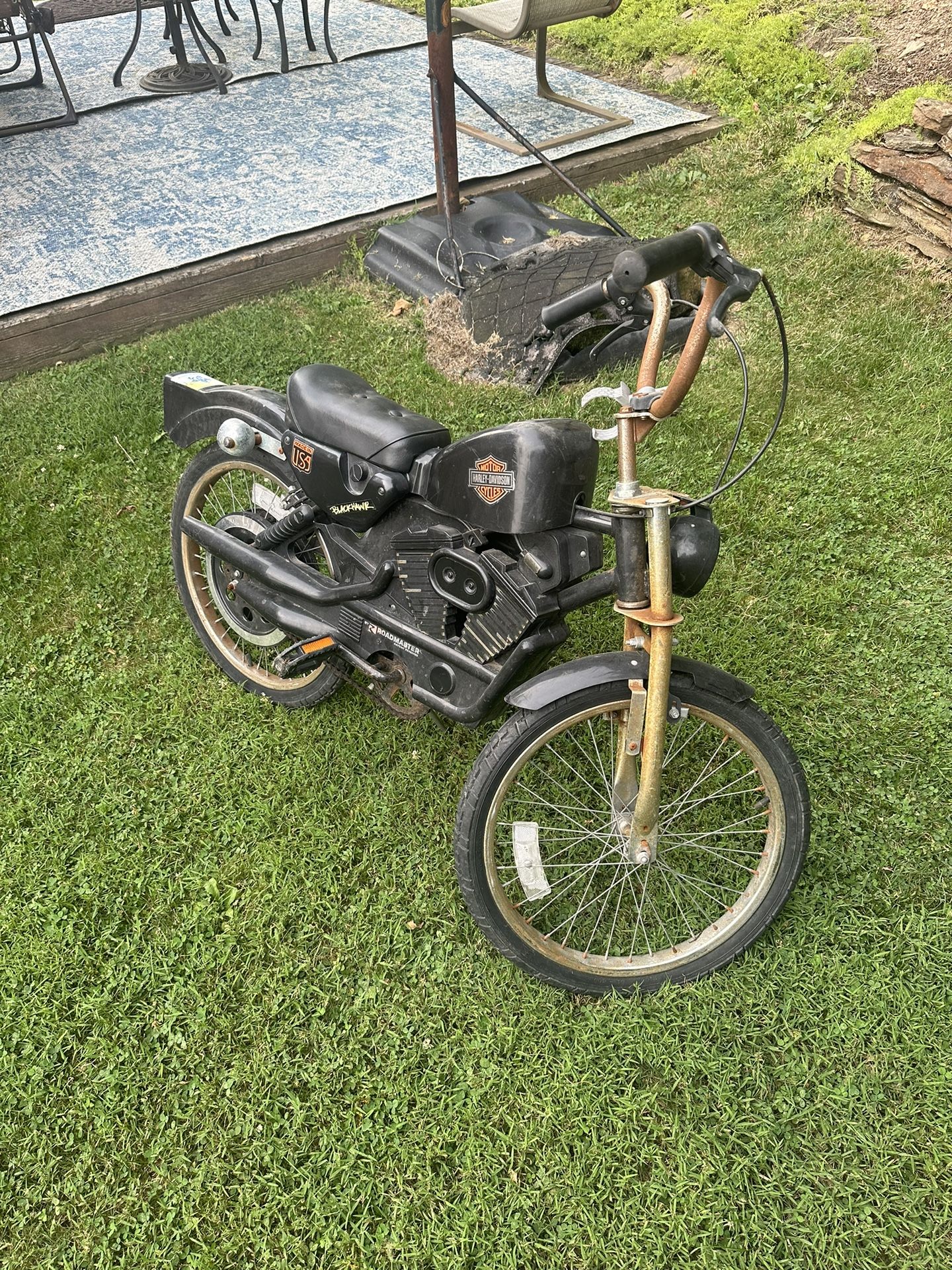 Harley Davidson Pedal Bike
