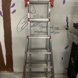 Little giant ladder M26