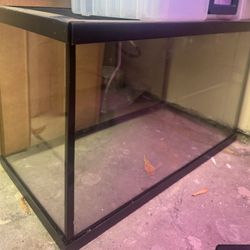 10 Gallon Tank