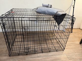 Huge dog cage with grey padded bumper