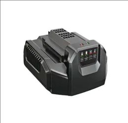 EGO 56V  FAST CHARGER