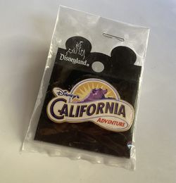 California Adventure Pin