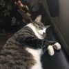 Chiquis 