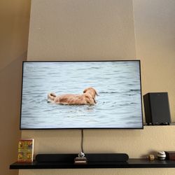50” Samsung TV