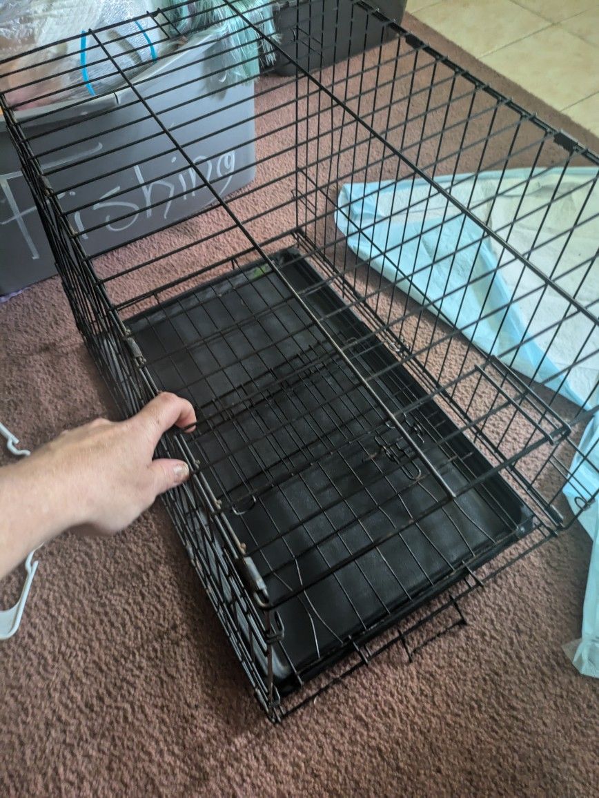 medium dog crate