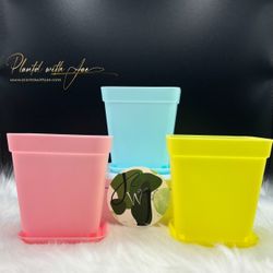 3 Pack 3 Inch Blossom Planters 