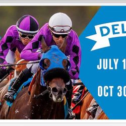Del Mar Thoroughbred 5 Box Seats July 18 - Sept 7