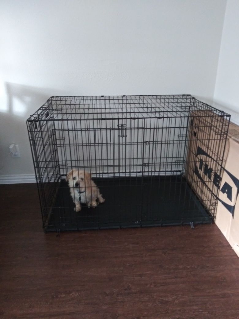 X-Large double door kennel