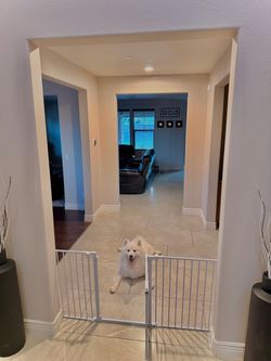 Dog fence for indoors