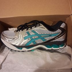 Asics Gel-Kayano 14  