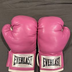 Everlast Boxing Gloves
