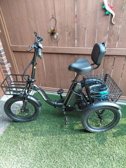 Spaceway Electric Tricycle with Baskets