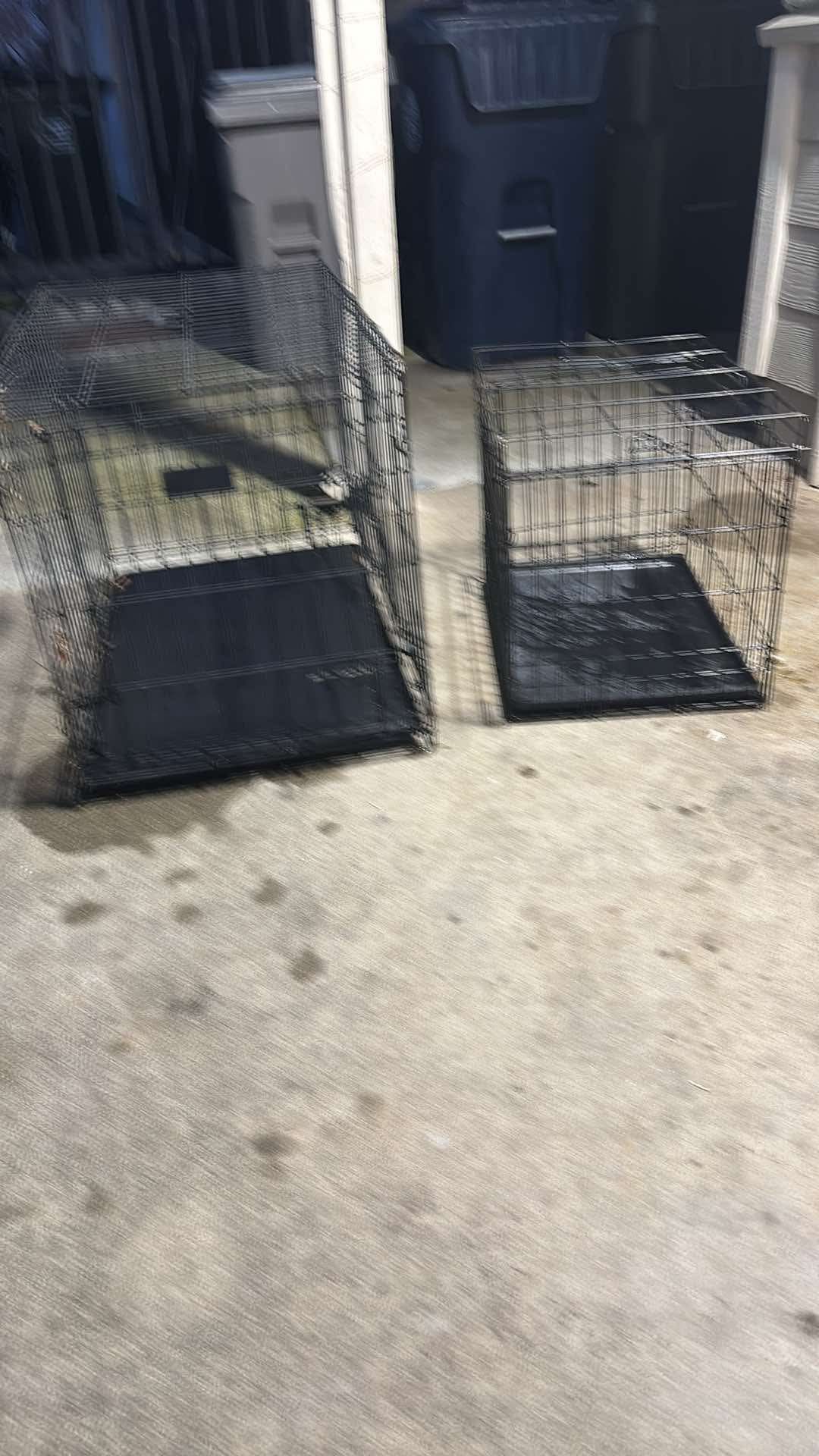 dog cages