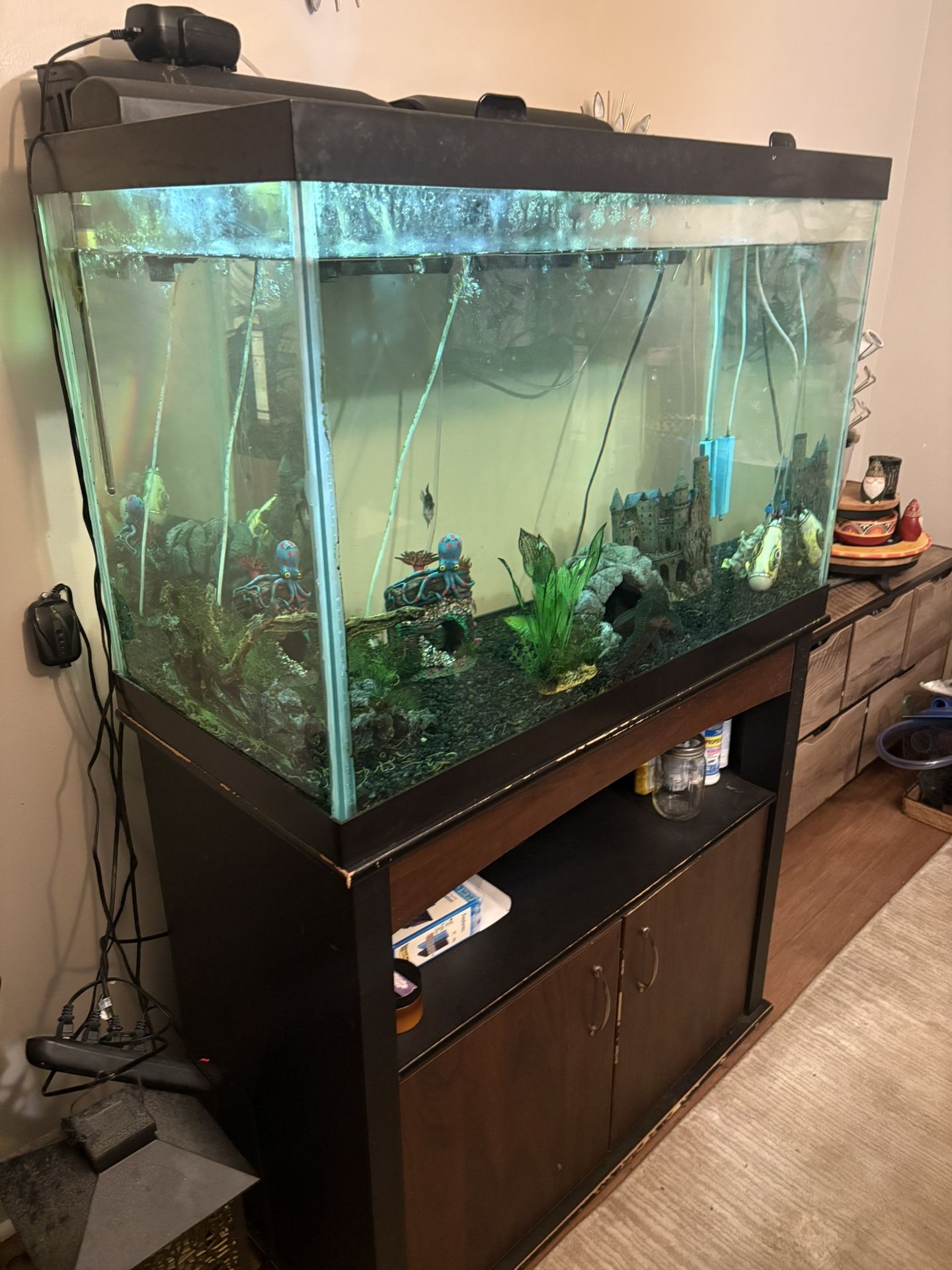 100 Gallon Fish Tank 