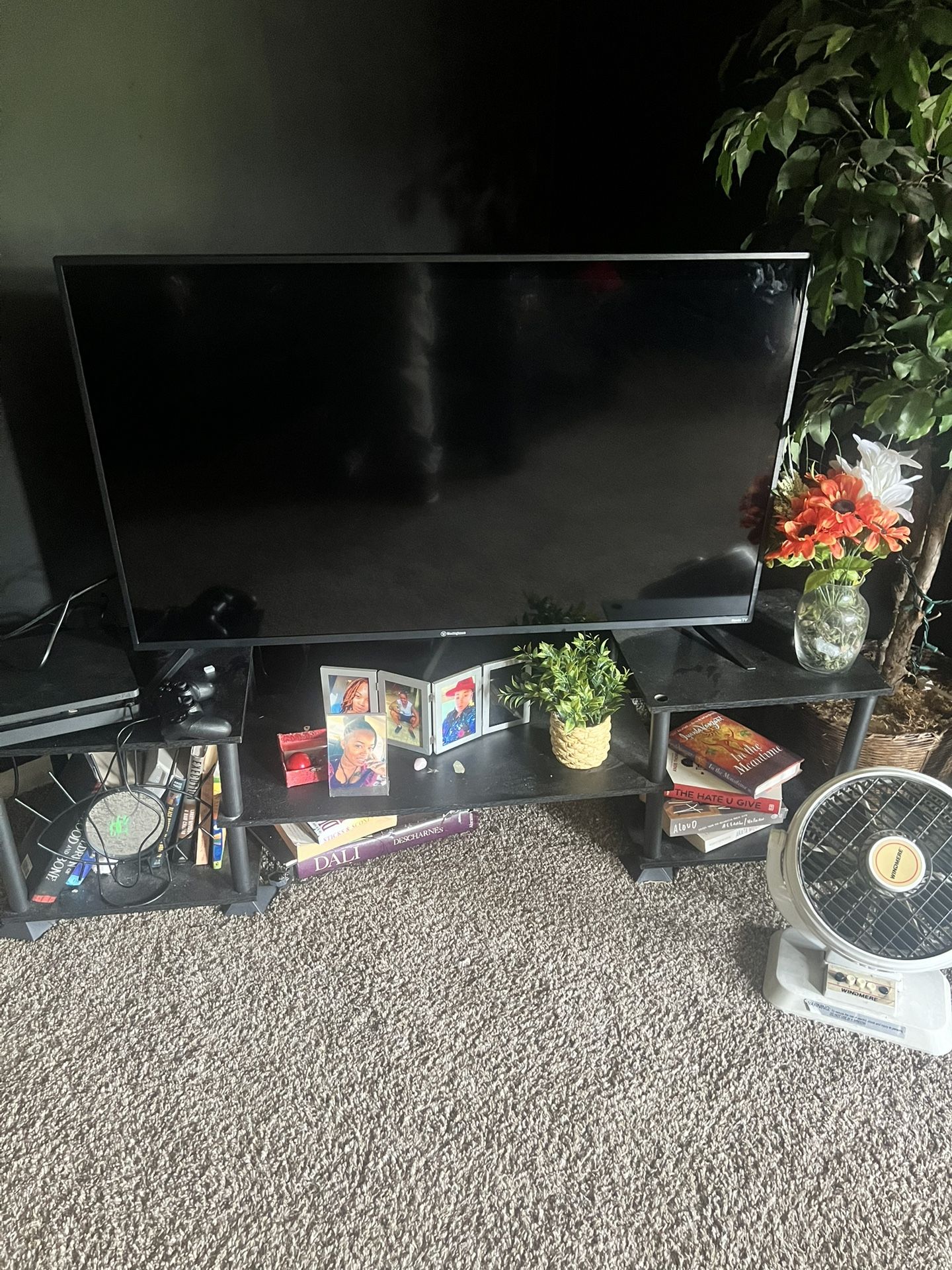 55 Inch Westinghouse Smart TV
