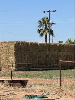 Hay -3 way fresh hay.