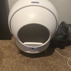 Sell Cleaning Cat Litter