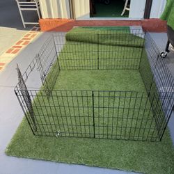 Dog Create 