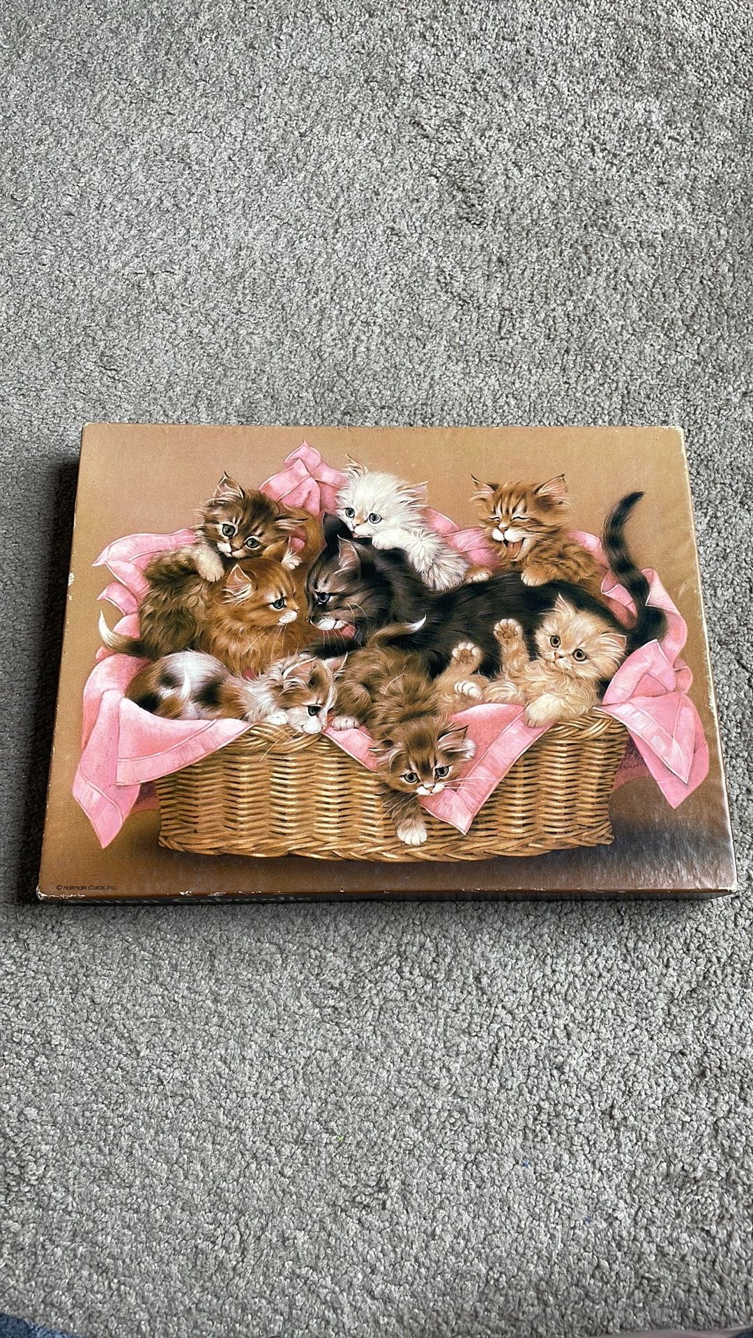 Vintage Puzzle: Kitten Caboodle