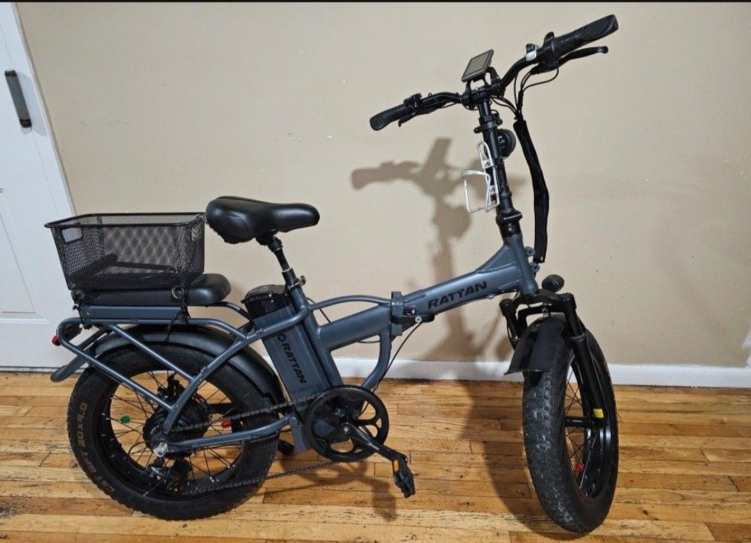 Rattan LM 750W Fat Tire Ebike
