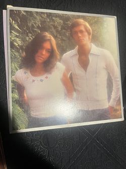 The Carpenters Vinyl