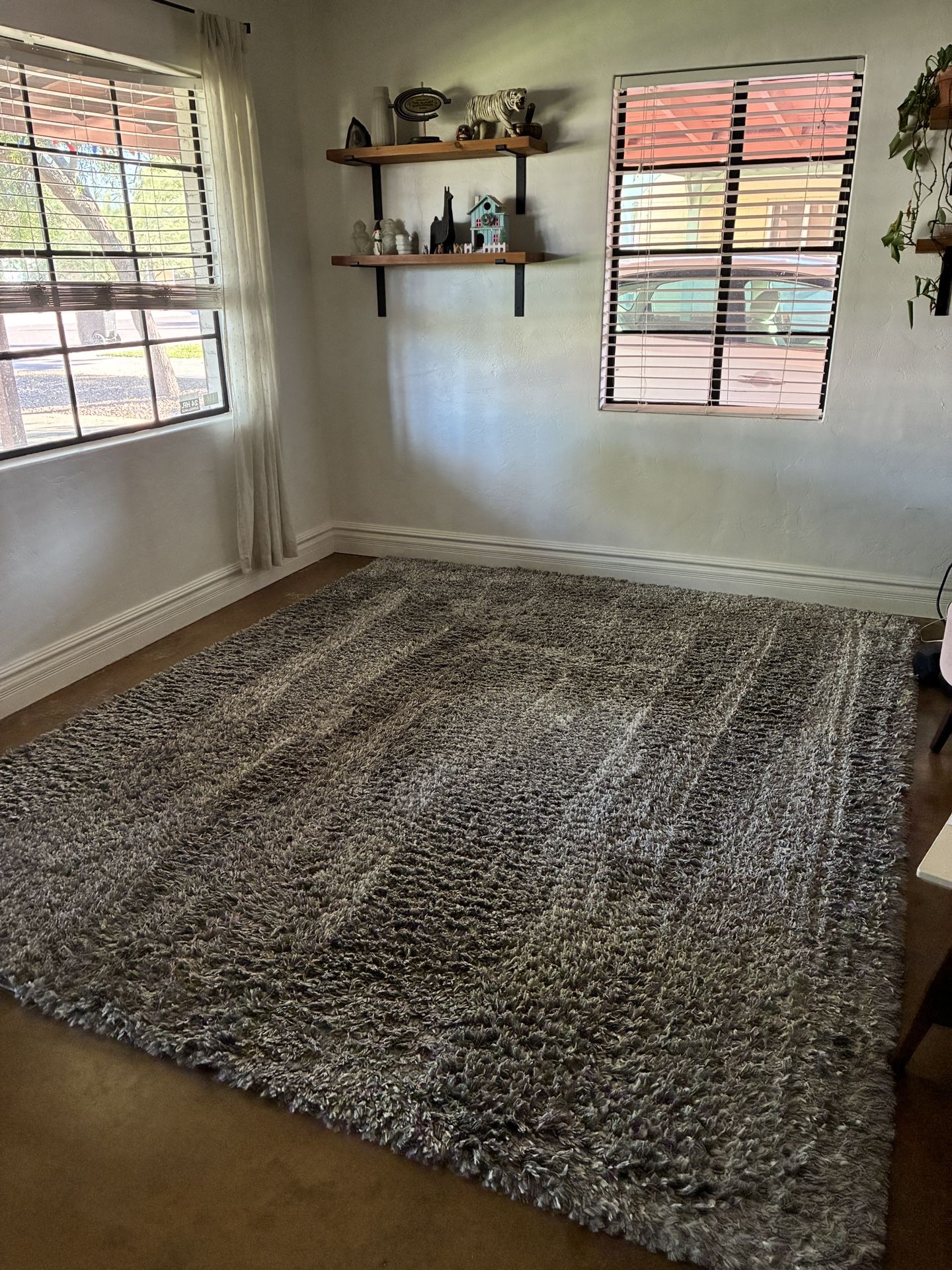 Gray Shag Rug