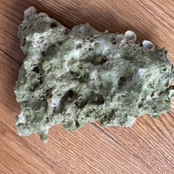 Coral For Fish Tank