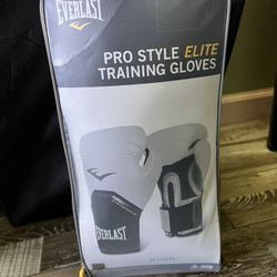 Everlast Boxing Gloves 