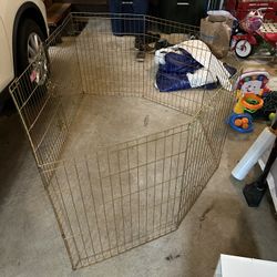 Dog Fence
