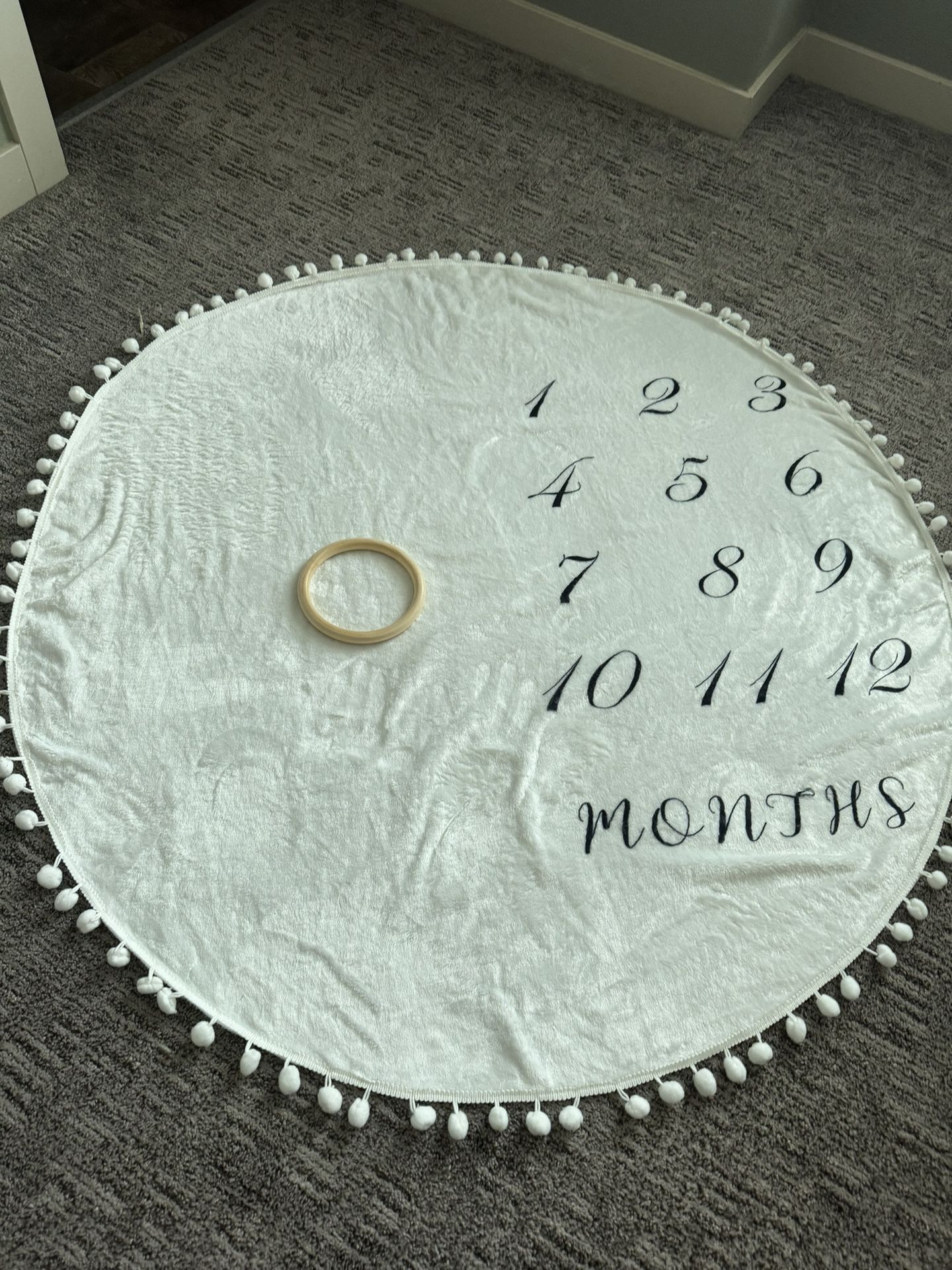 Baby Monthly Milestones 