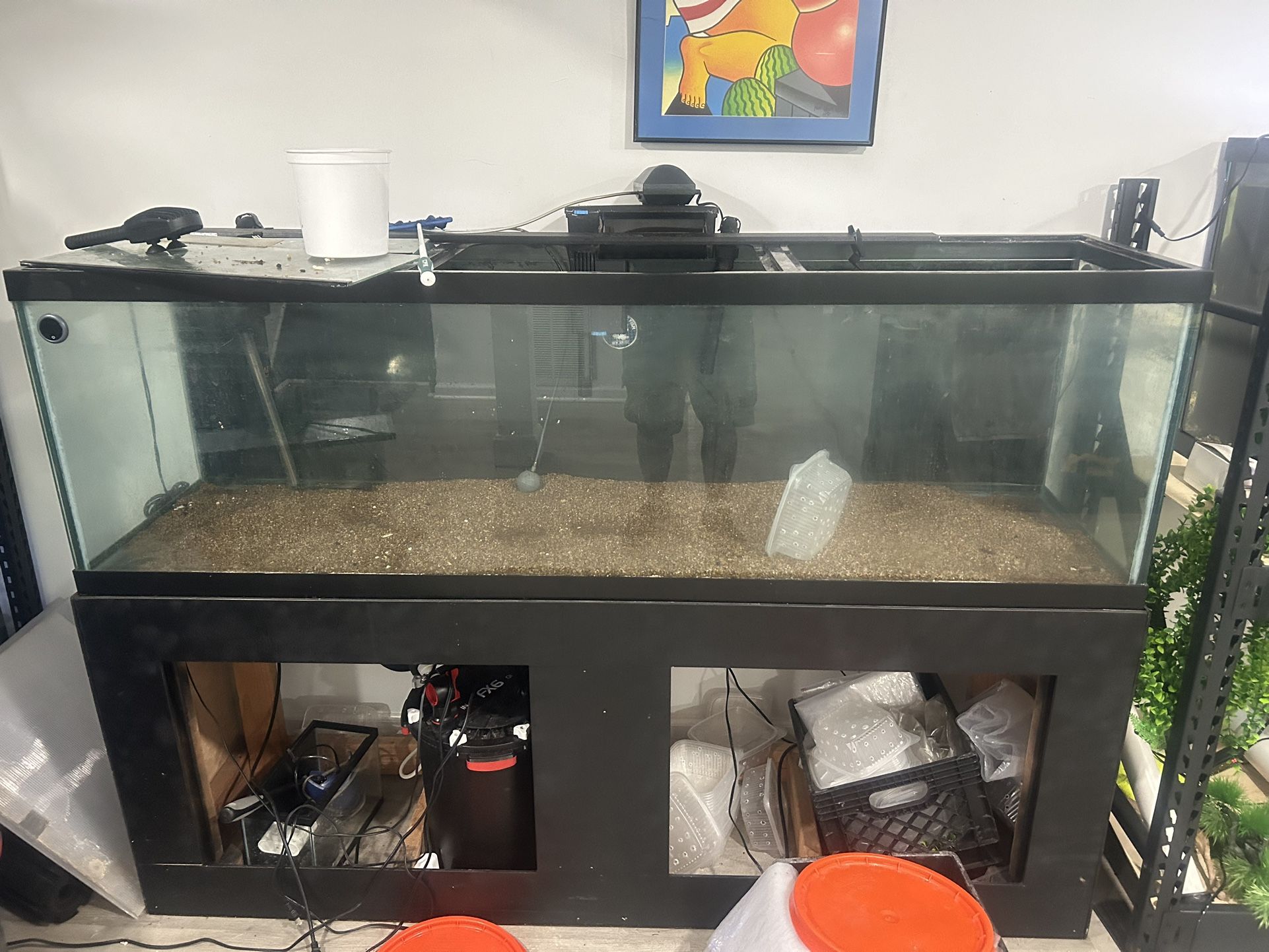 125 Gallons Fish Tank And FX5 Filter