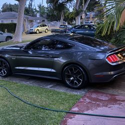 2017 Ford Mustang Manual S550 Gt Fbo Cj  