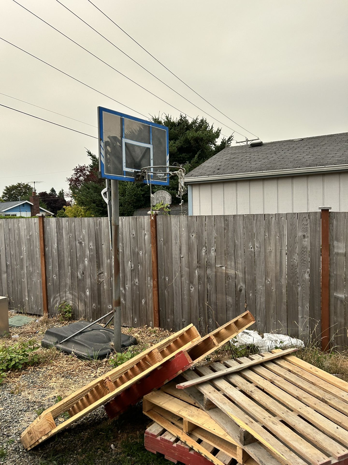 Basketball Adjustable Hoop