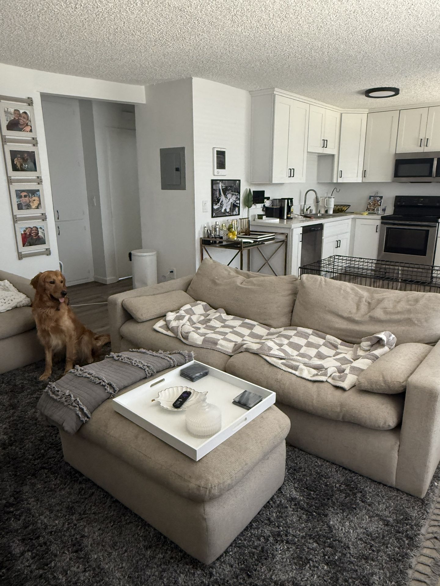 Sofas & ottoman