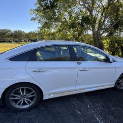 Need Window (T1NT?) Mobile 