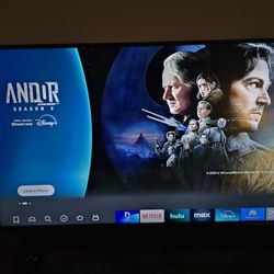 43" LG TV + Fire Stick