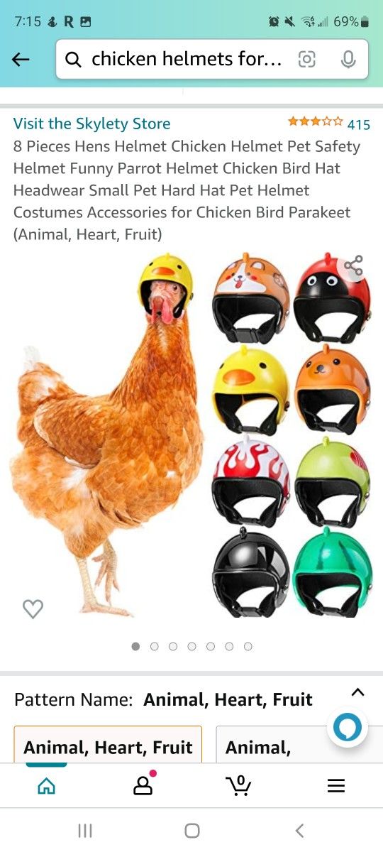 Chicken Helmets