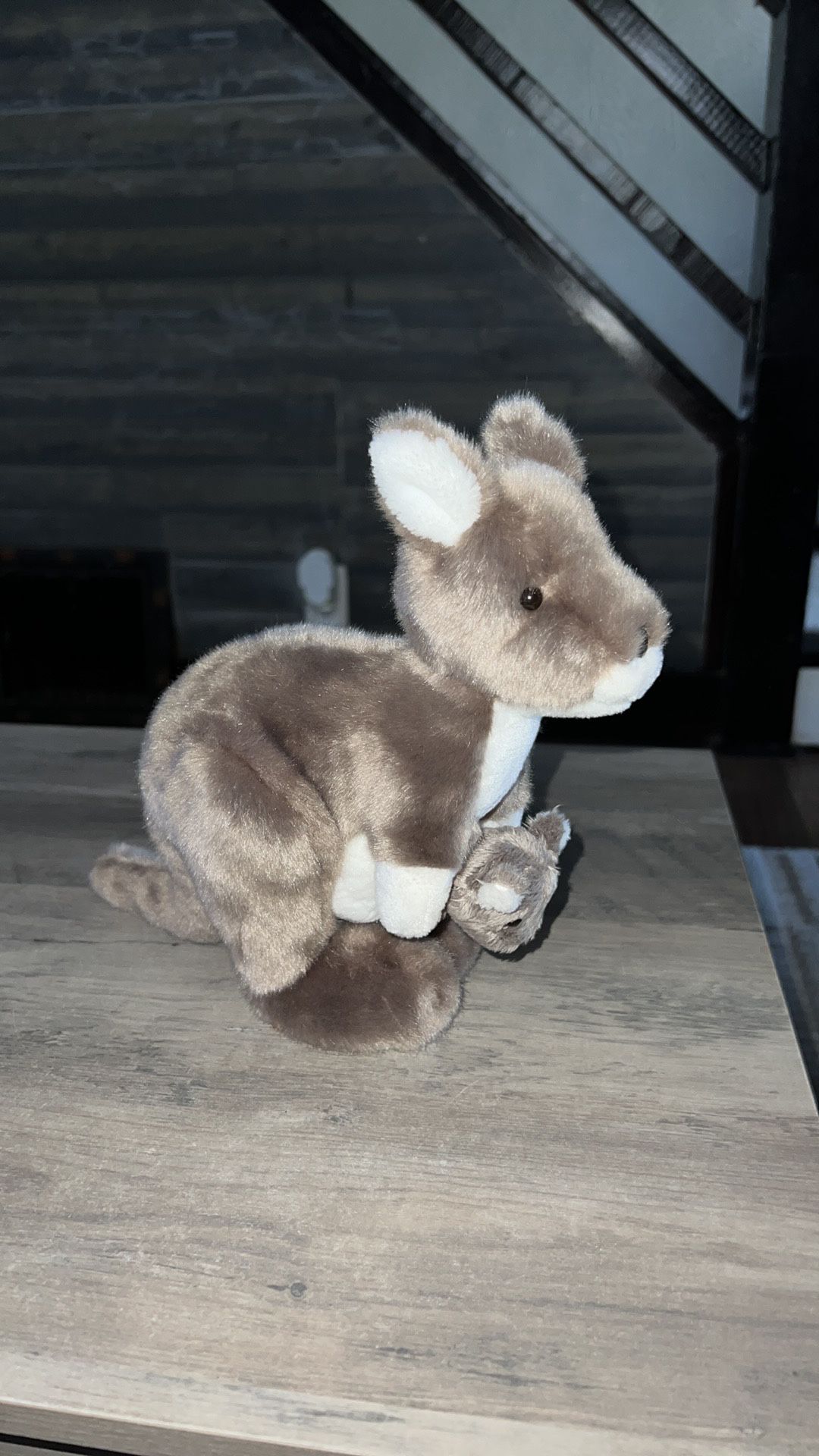American Girl Kira Kangaroo Plush Stuffed Animal 9” Soft 2020 