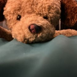 Gund brand dog plush. 